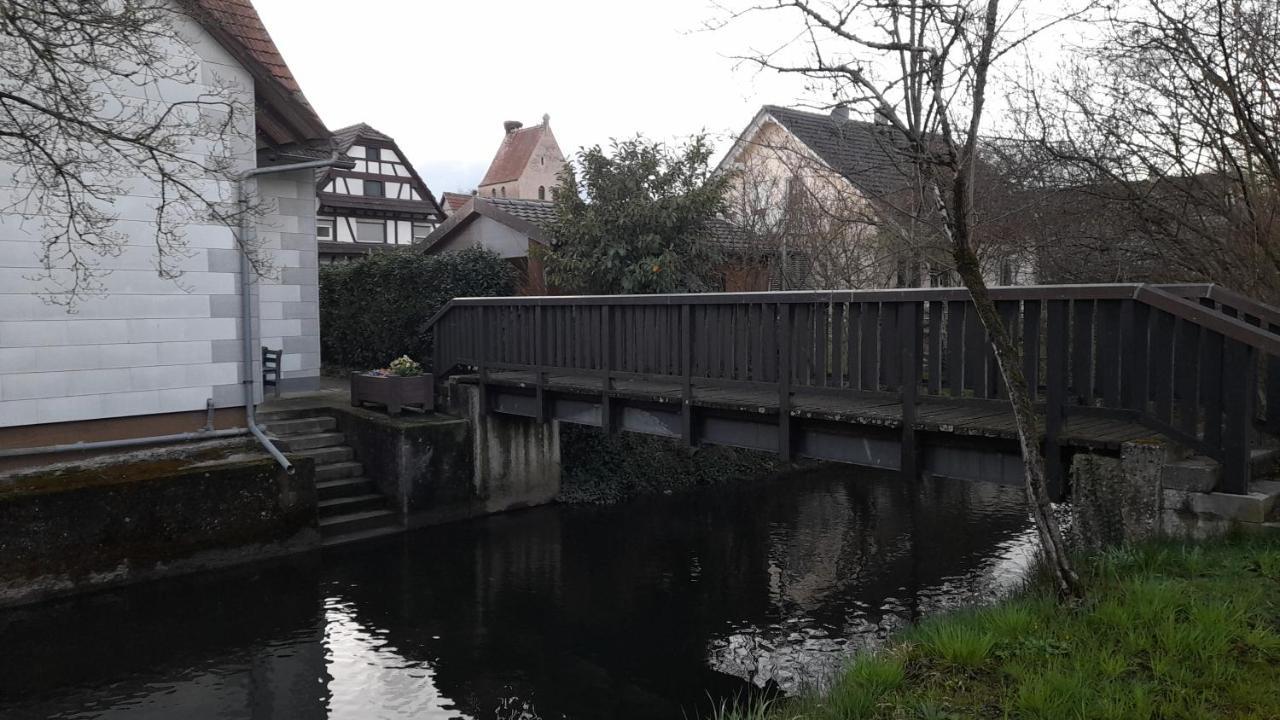 Badischer Neubau-Ruhe-Kunst-Natur Rheinau Exteriér fotografie
