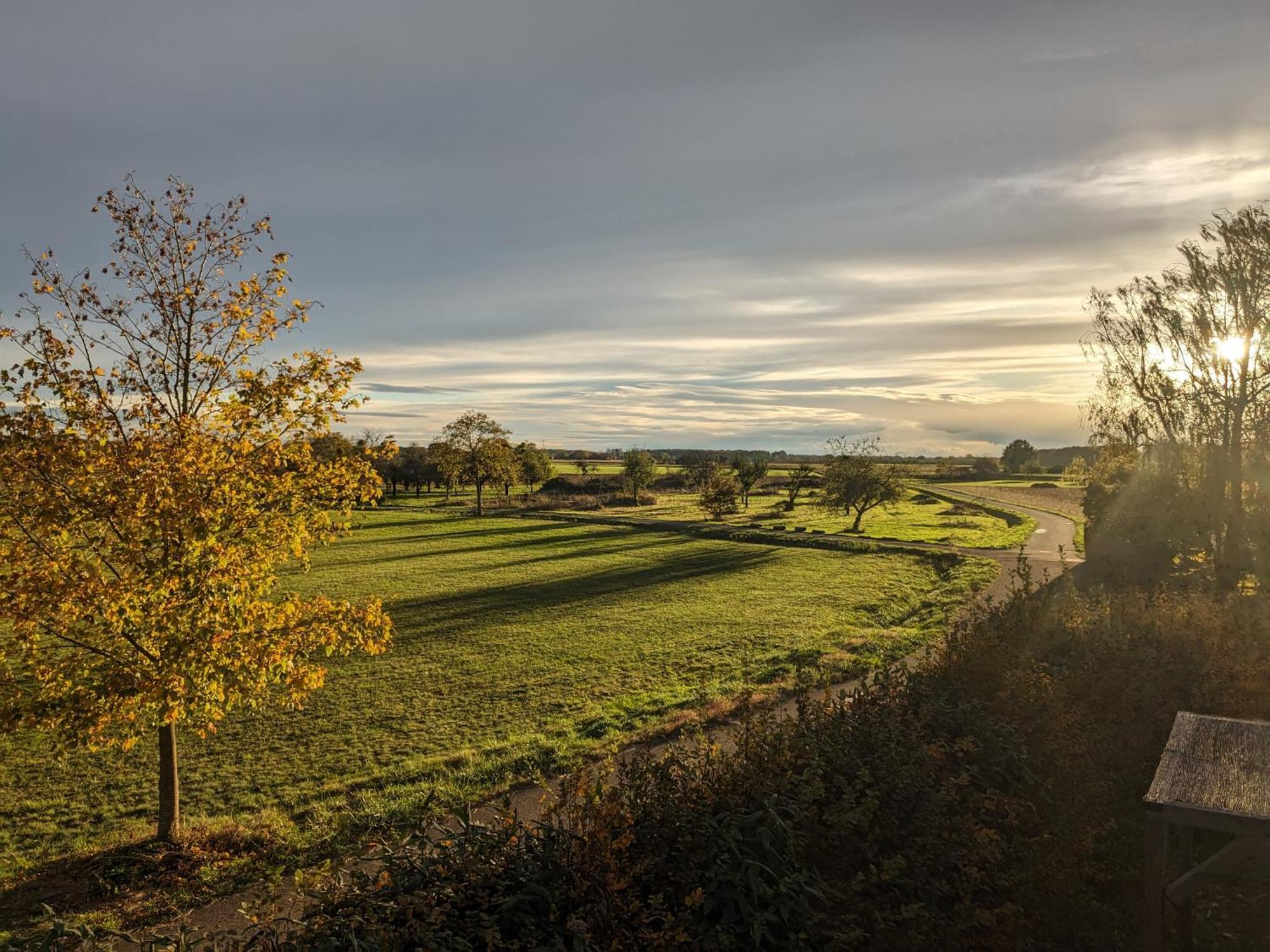 Badischer Neubau-Ruhe-Kunst-Natur Rheinau Exteriér fotografie