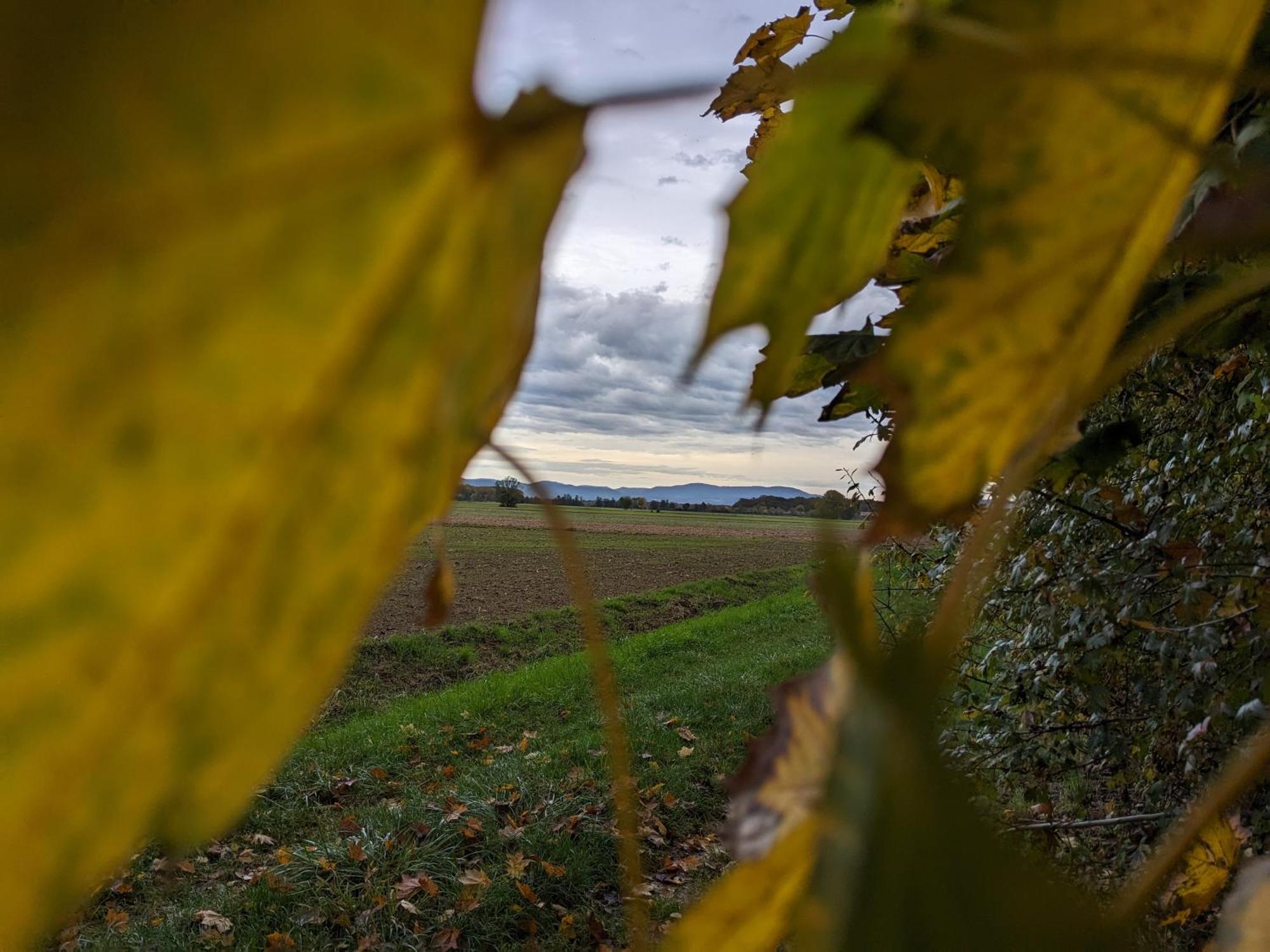 Badischer Neubau-Ruhe-Kunst-Natur Rheinau Exteriér fotografie