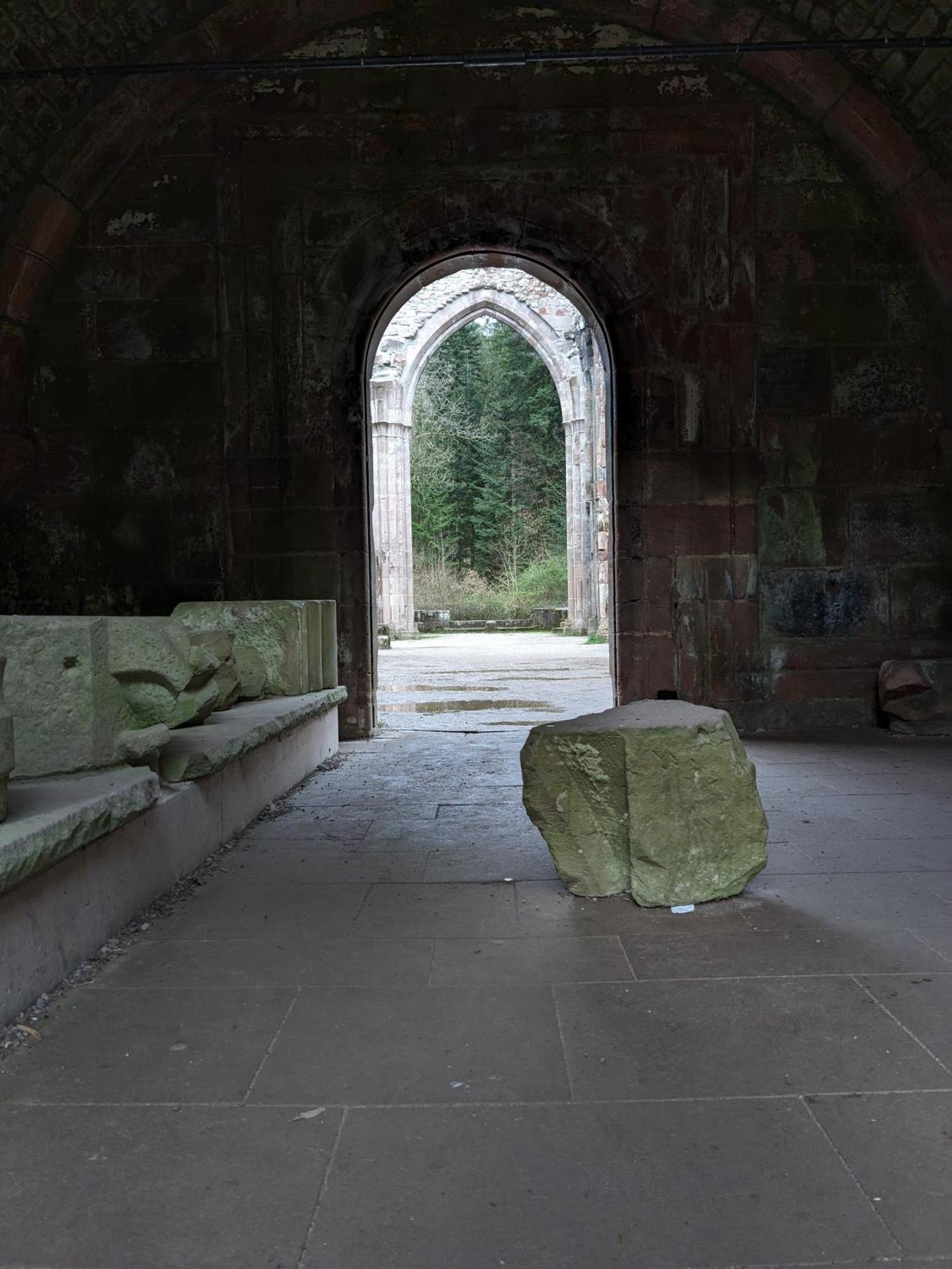 Badischer Neubau-Ruhe-Kunst-Natur Rheinau Exteriér fotografie