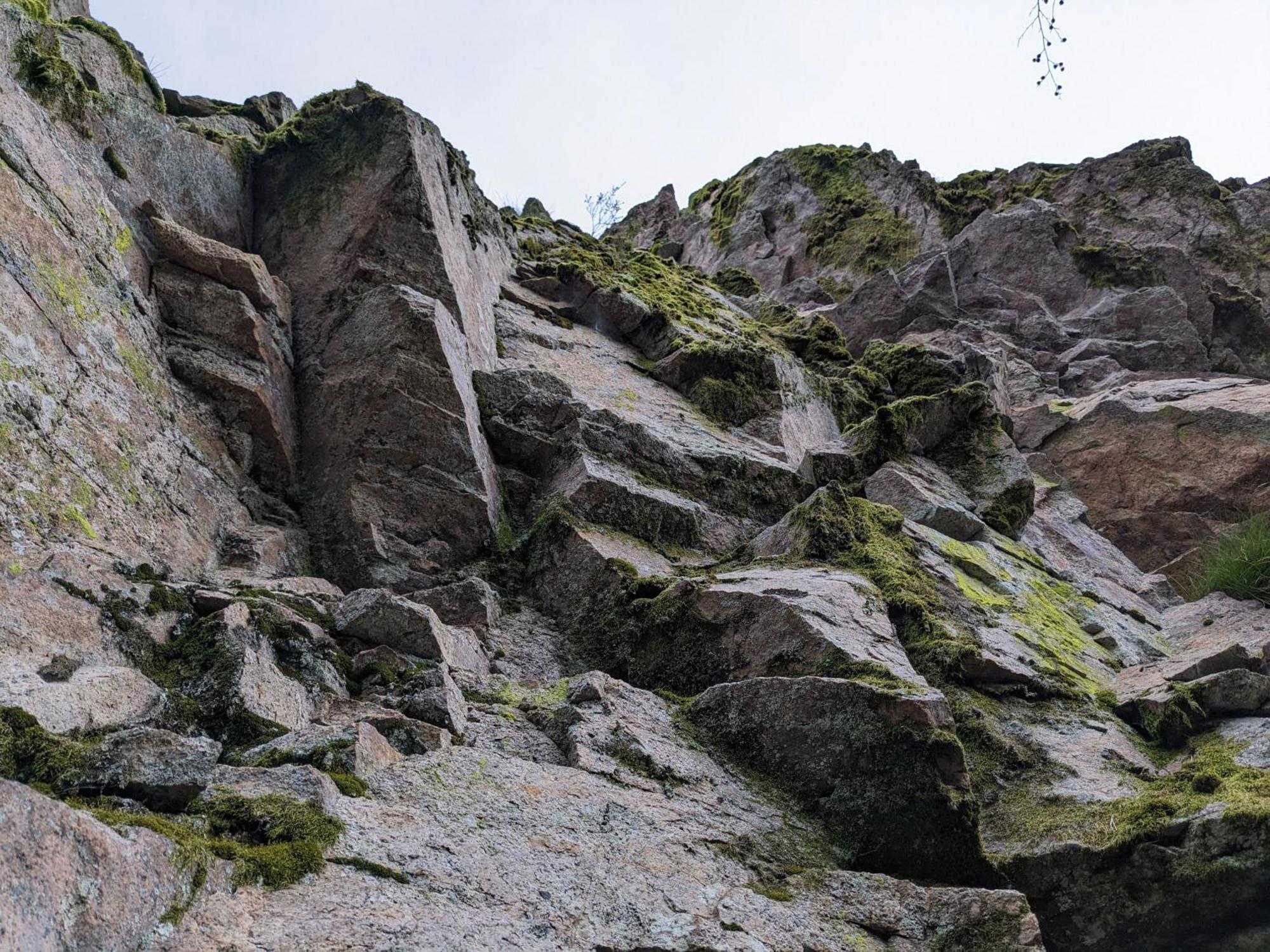 Badischer Neubau-Ruhe-Kunst-Natur Rheinau Exteriér fotografie