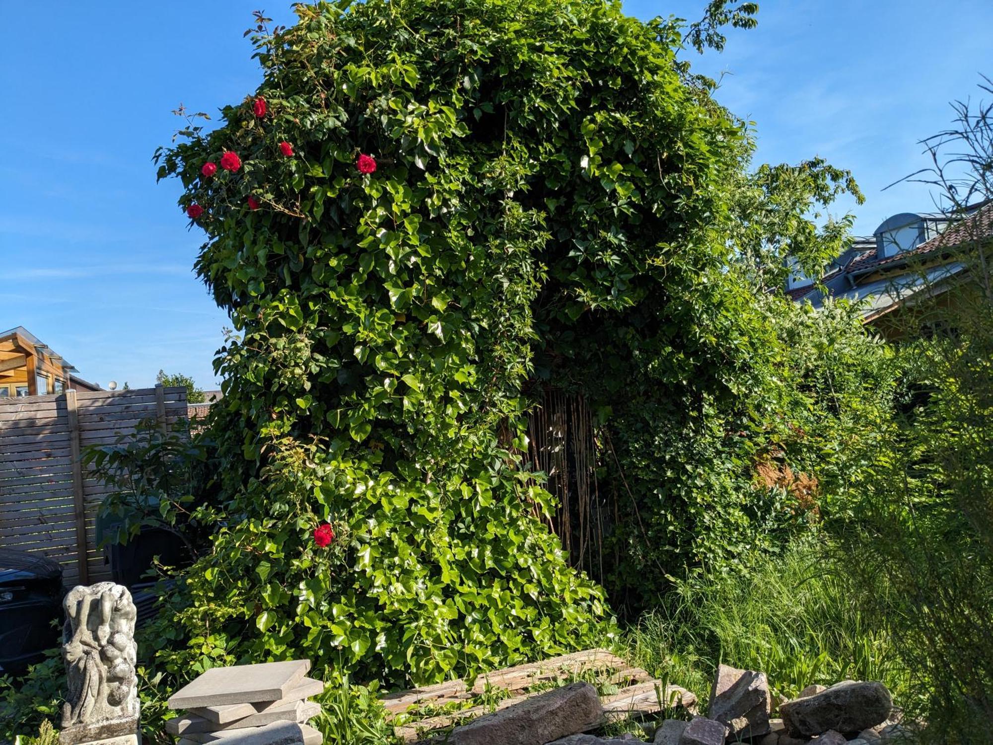 Badischer Neubau-Ruhe-Kunst-Natur Rheinau Exteriér fotografie
