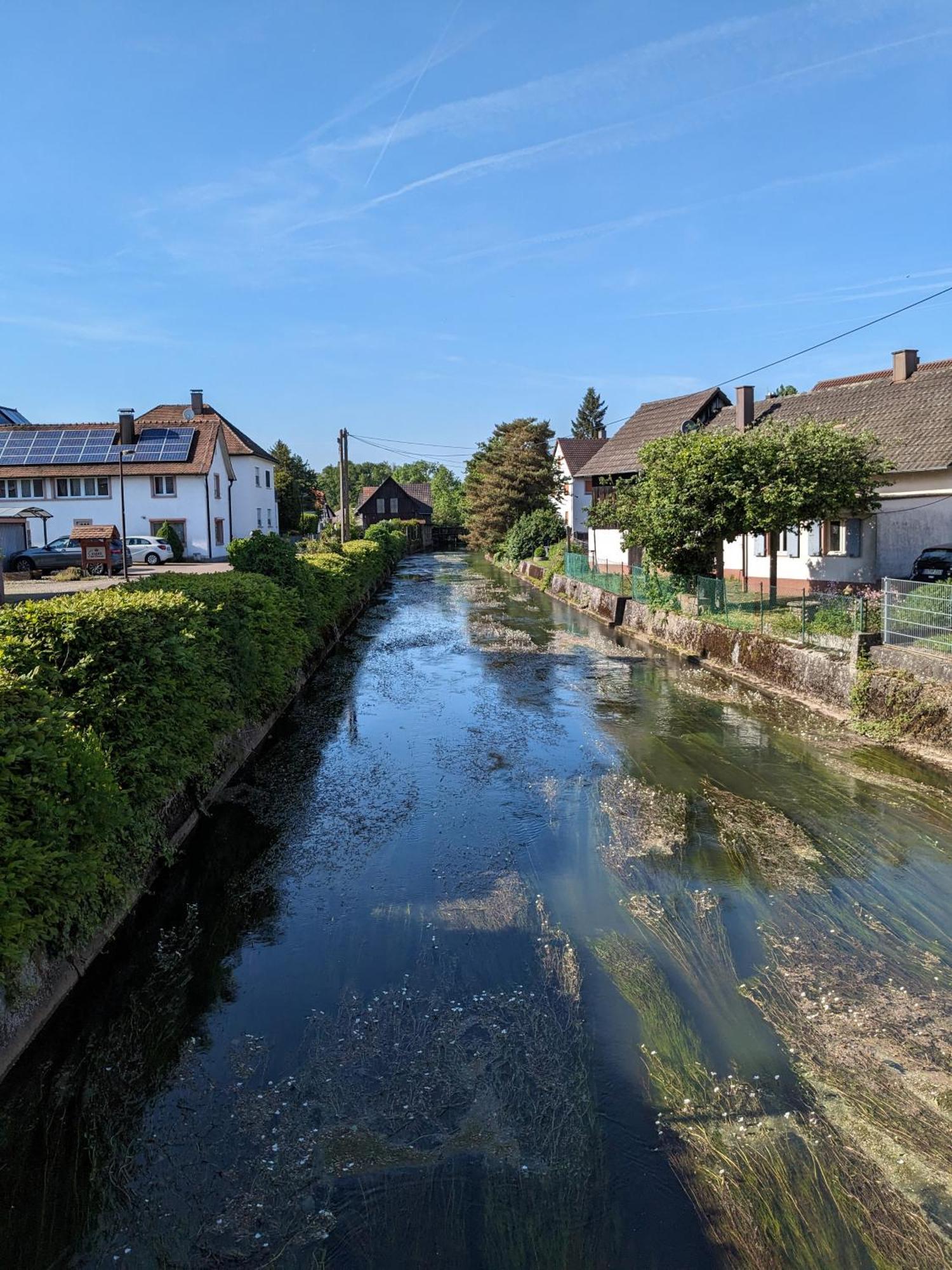 Badischer Neubau-Ruhe-Kunst-Natur Rheinau Exteriér fotografie