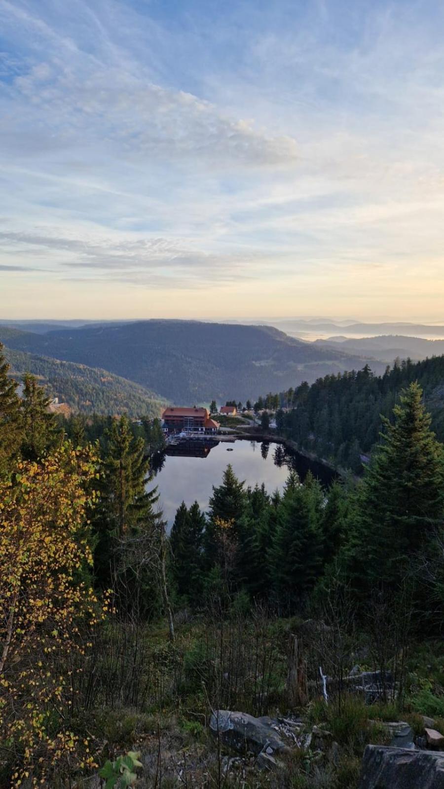 Badischer Neubau-Ruhe-Kunst-Natur Rheinau Exteriér fotografie
